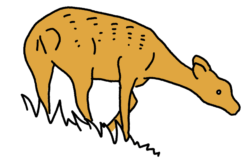 草を食べる鹿の手描きイラスト